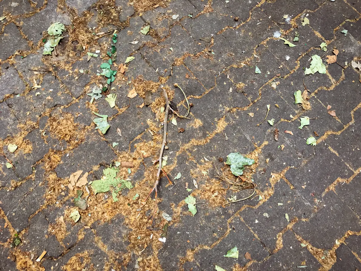 Grimmstraße. Berlin