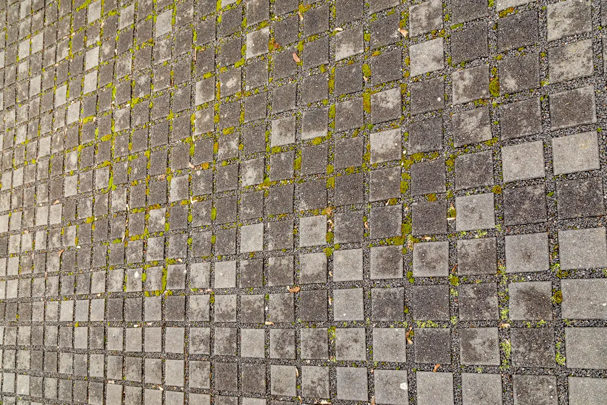 Denkmal für die ermordeten Juden Europas. Berlin